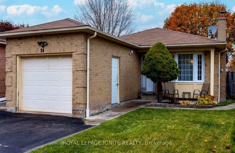 34 Mandrake Street, Ajax | Image 1