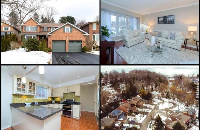 64 Baronial Court, Toronto | Image 1