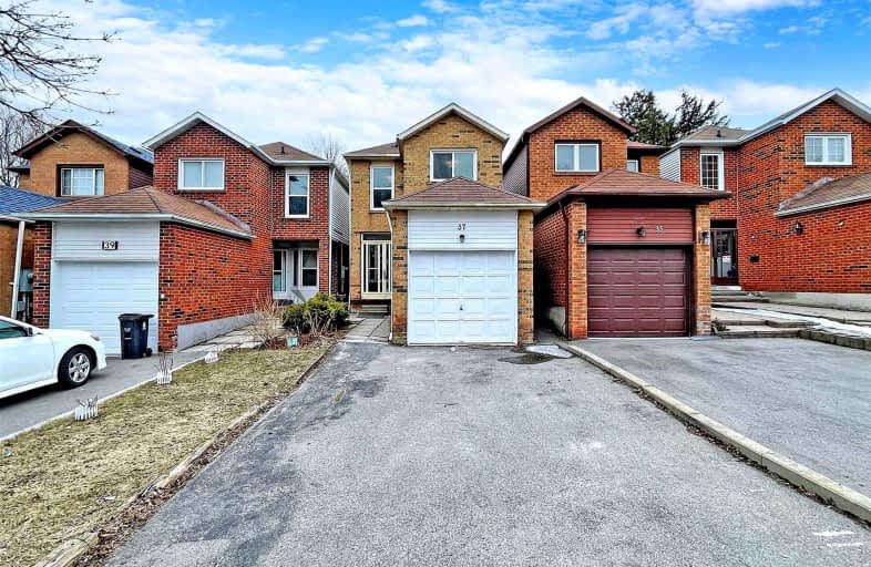 37 Verne Crescent, Toronto | Image 1