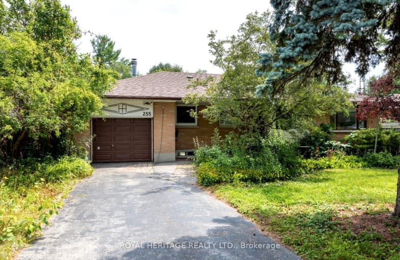 255 Meadow Road, Whitby | Image 1