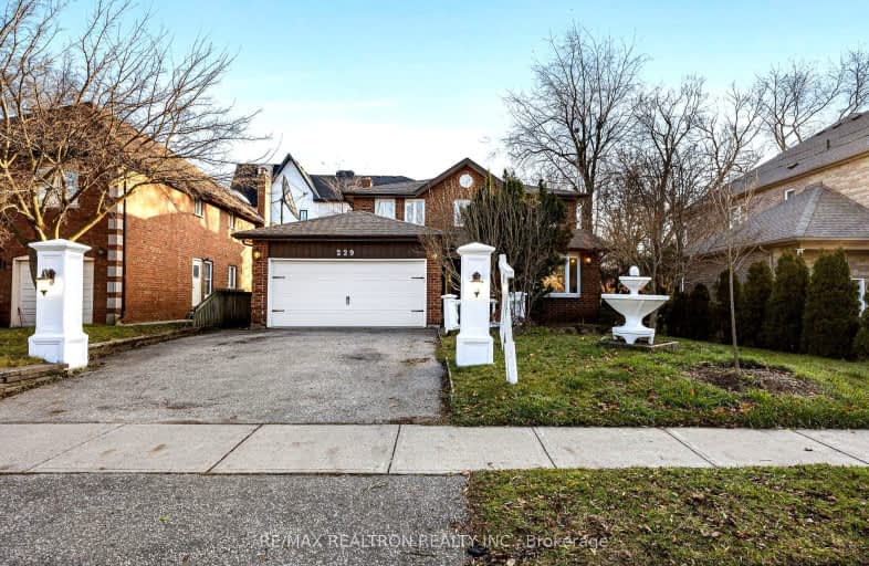 229 Douglas Road, Richmond Hill | Image 1