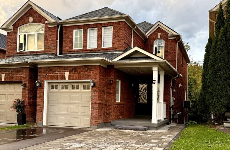 Bsmt-36 Long Point Drive, Richmond Hill | Image 1