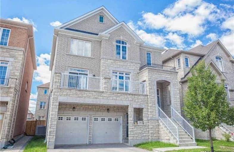 34 Begonia Street, Markham | Image 1