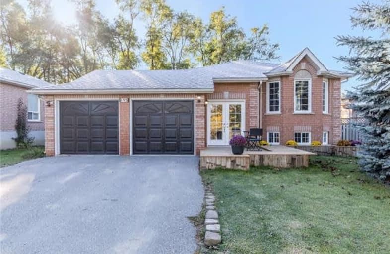 195 Main Street West, New Tecumseth | Image 1