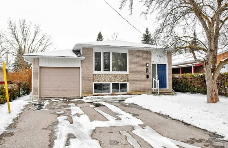 334 Amelia Street, Newmarket | Image 1