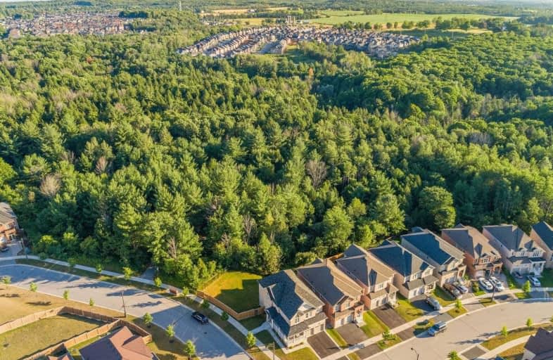 24 Nature Way Crescent, Newmarket | Image 1