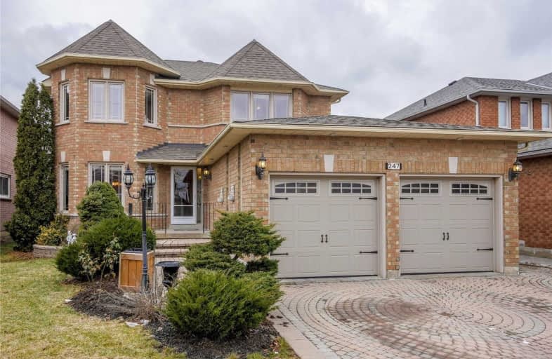 247 Mapes Avenue, Vaughan | Image 1