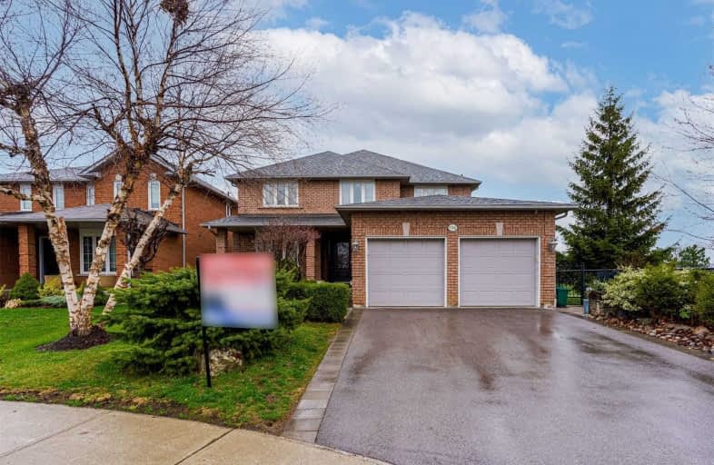 196 Mapes Avenue, Vaughan | Image 1