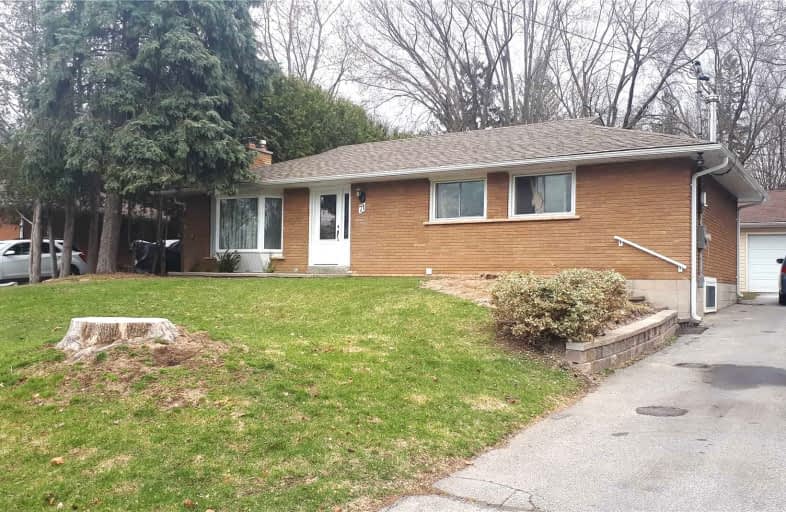 71 Belfry Drive (Basement) Drive, Newmarket | Image 1
