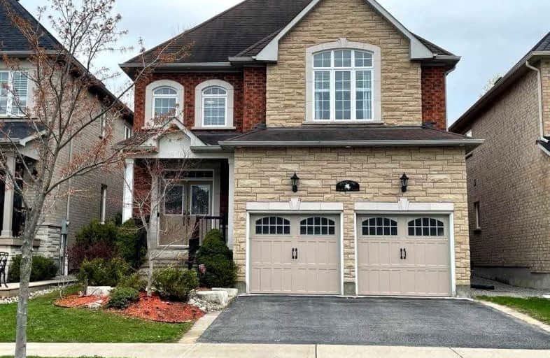 Bsmt-61 Timber Valley Avenue, Richmond Hill | Image 1