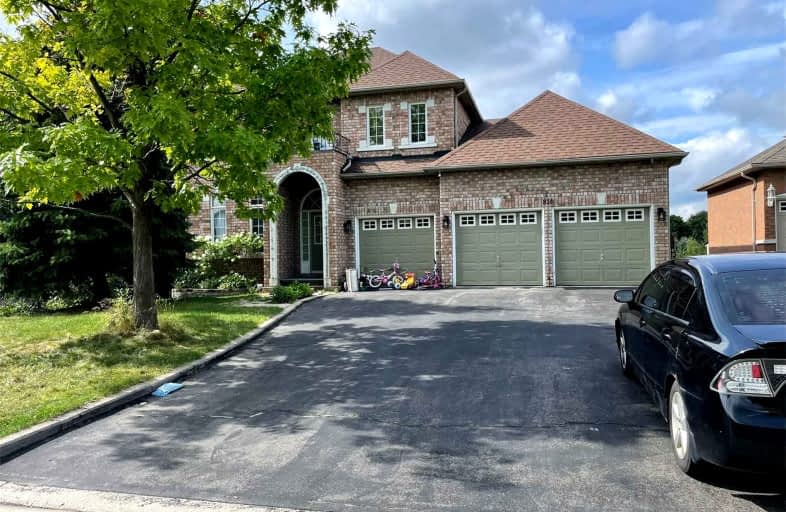 Bsmt#-816 Best Circle, Newmarket | Image 1