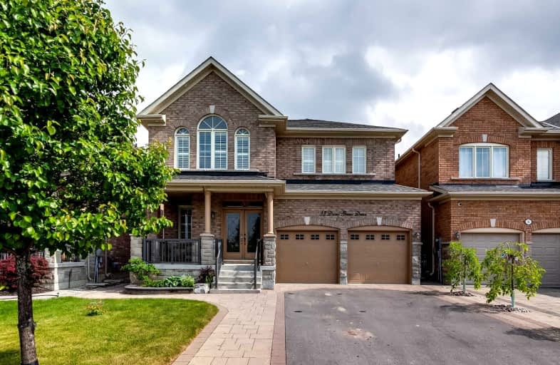 33 Dame Gruev Drive, Markham | Image 1