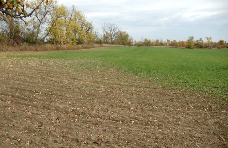 Ptlt 24 Concession Road 3 N/A, Adjala Tosorontio | Image 1