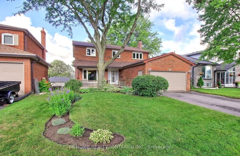 Bsmt 64 Lowe Boulevard, Newmarket | Image 1