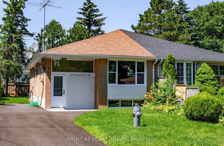 239 SILVERBIRCH Drive, Newmarket | Image 1