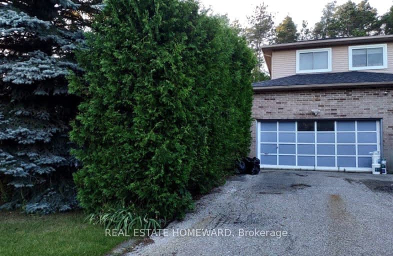 Lower-24 Beckett Avenue, East Gwillimbury | Image 1