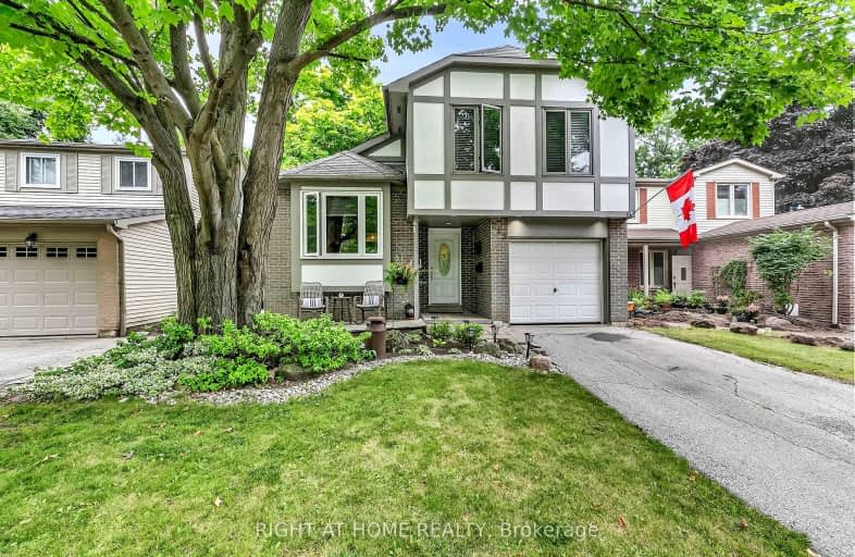 213 Avenue Road, Richmond Hill | Image 1