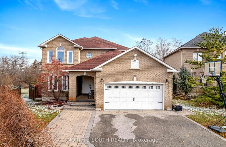 Bsmt#-113 Glenforest Drive, Vaughan | Image 1