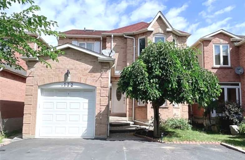 Bsmt-172 Brownridge Drive, Vaughan | Image 1