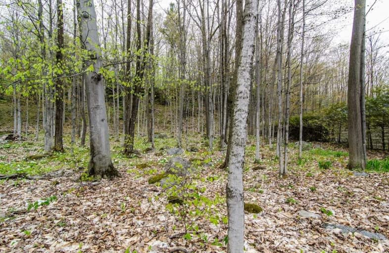 Lot 2 Tiny Beaches Road North, Tiny | Image 1