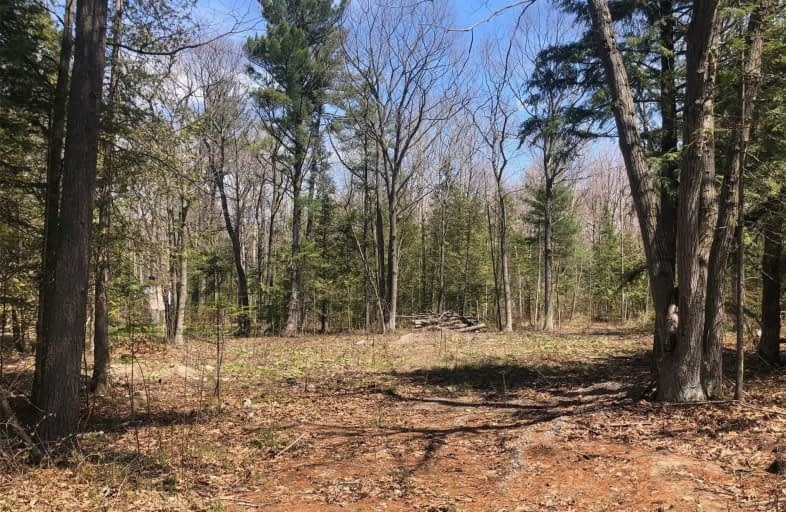 Lot 33 Trout Lane, Tiny | Image 1
