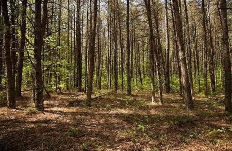 Lot 66 Trout Lane, Tiny | Image 1
