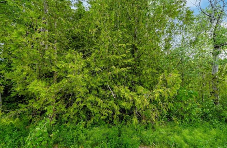 256 Woodlands Avenue, Tay | Image 1