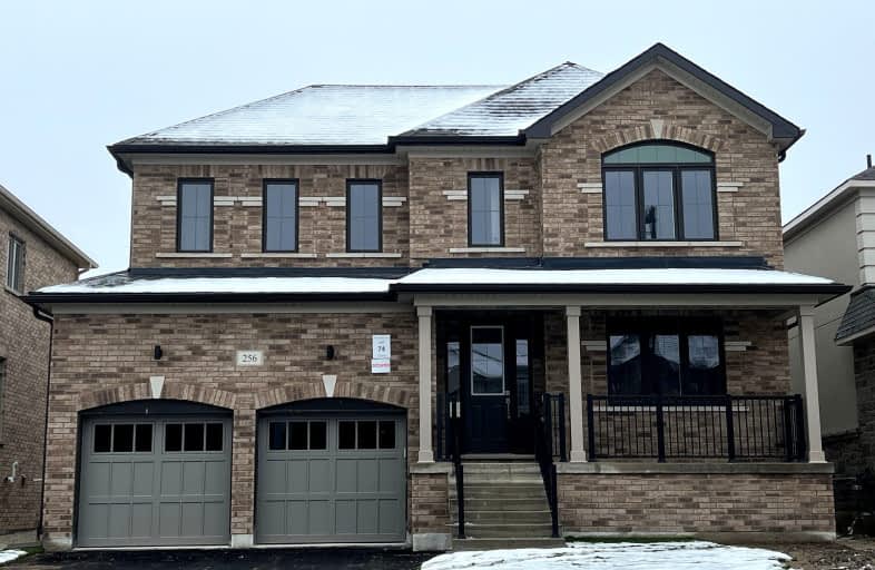 256 Warden Street, Clearview | Image 1