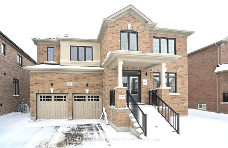 238 Warden Street, Clearview | Image 1