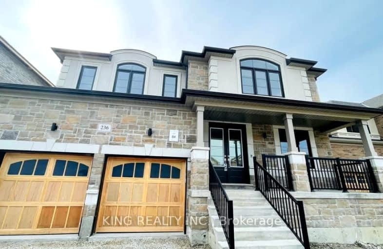 236 Warden Street, Clearview | Image 1