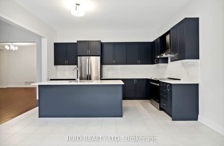 3 Sweet Cicely Street, Springwater | Image 1