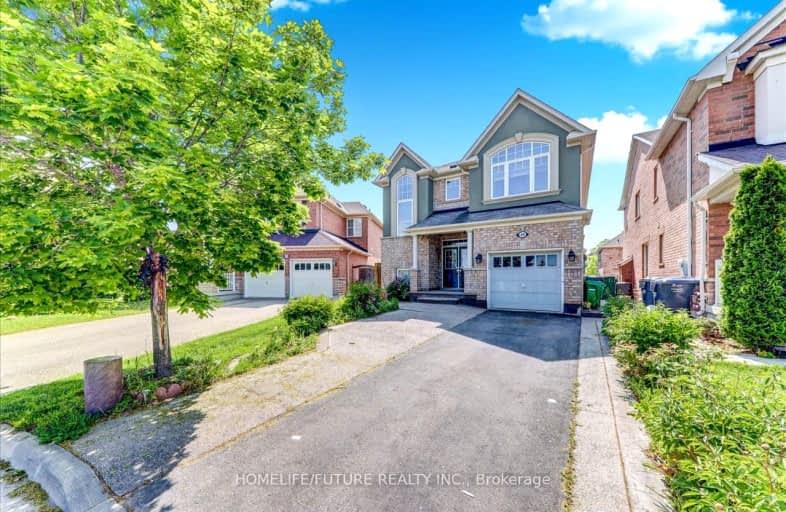 Bsmt-49 Peppermint Close, Brampton | Image 1