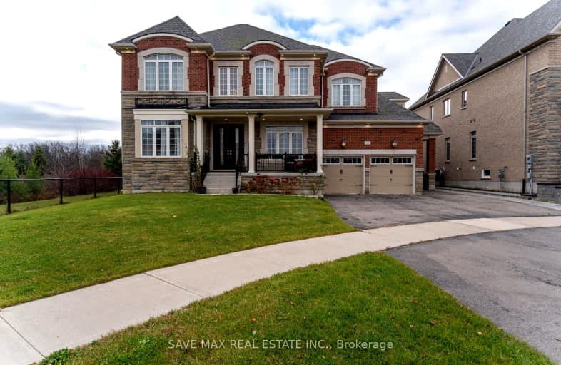 16 Layton Street, Brampton | Image 1