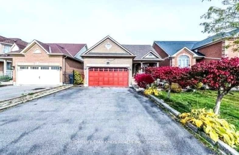 Bsmt-21 Orchid Drive, Brampton | Image 1