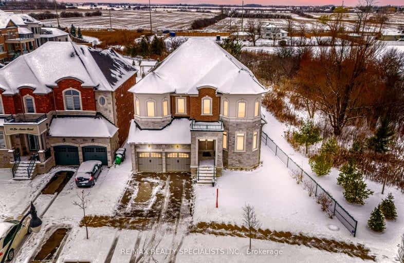 41 Leo Austin Road, Brampton | Image 1