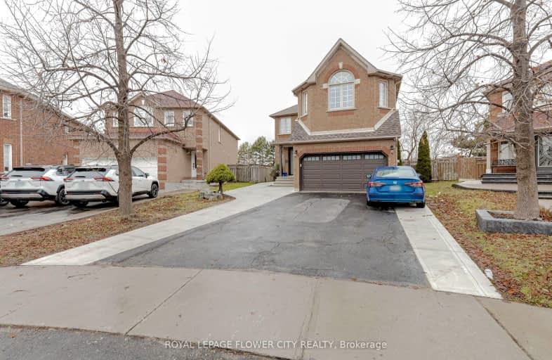 Bsmnt-72 Chadwick Crescent, Brampton | Image 1