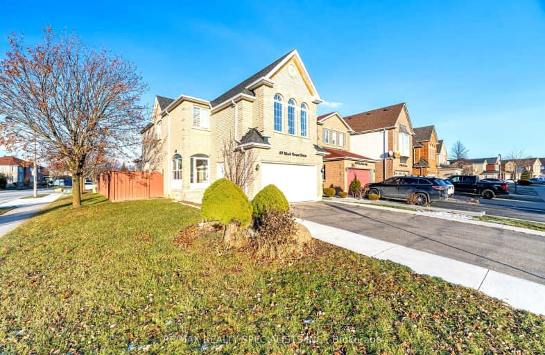 44 Black Forest Drive, Brampton | Image 1