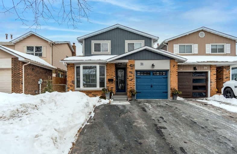 Lower-31 Norbert Road, Brampton | Image 1