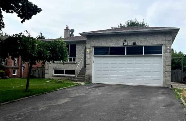 43 Moore Street, Brampton | Image 1