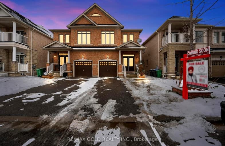 41 Speedwell Street, Brampton | Image 1