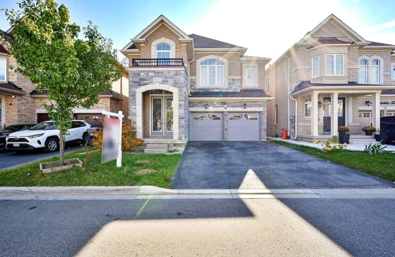 23 Gambia Road, Brampton | Image 1