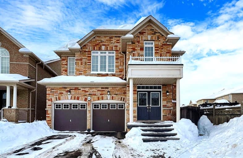 Bsmt-42 Fossil Street, Brampton | Image 1