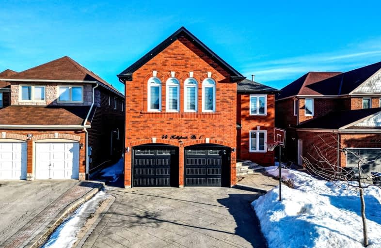 44 Hollybush Street, Brampton | Image 1