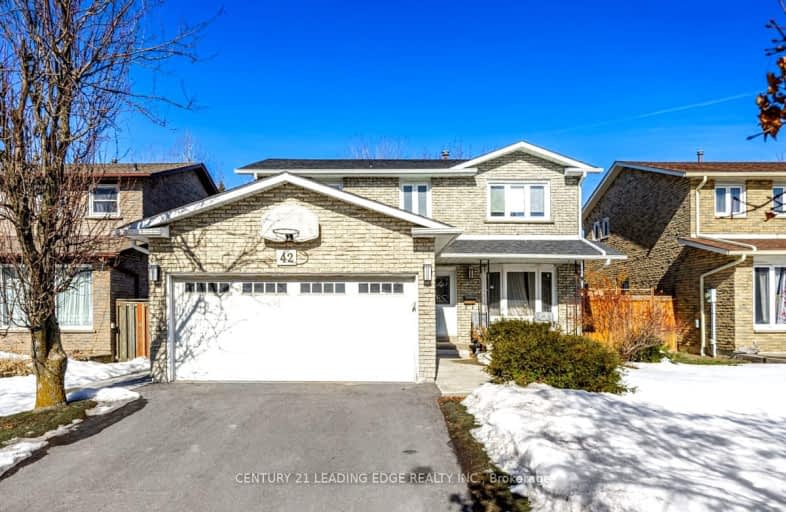 Bsmt-42 Northampton Street, Brampton | Image 1