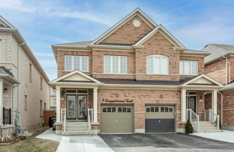 9 Orangeblossom Trail, Brampton | Image 1