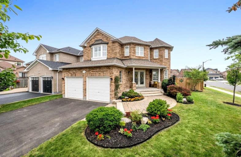 36 Bushberry Road, Brampton | Image 1