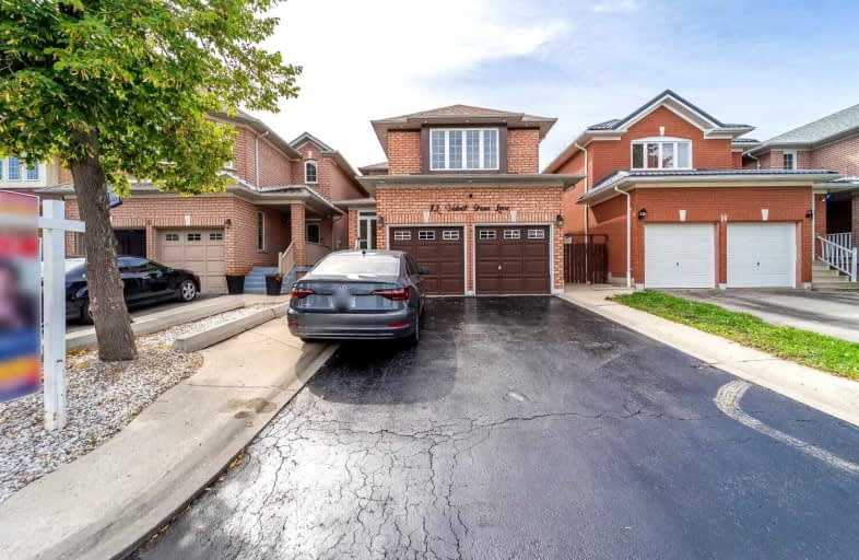 12 Velvet Grass Lane, Brampton | Image 1