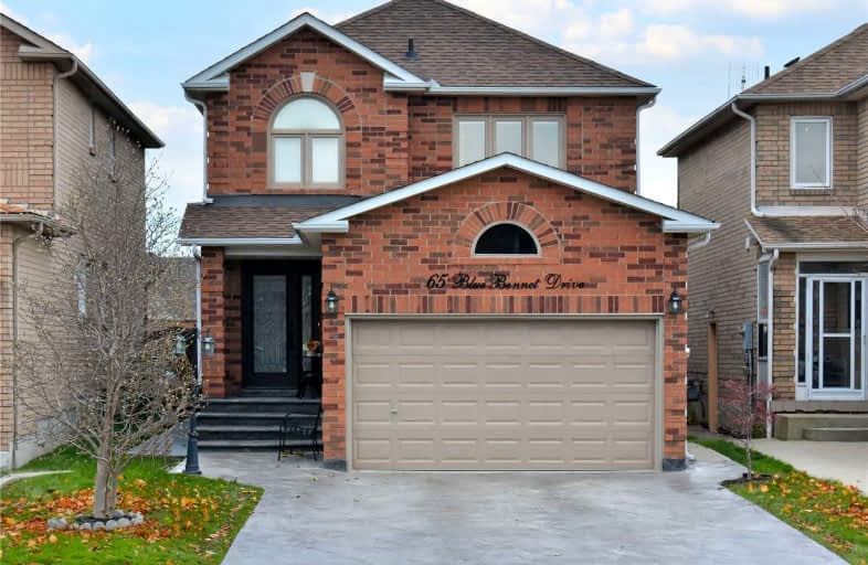 65 Blue Bonnet Drive, Brampton | Image 1