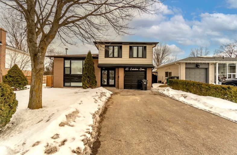 45 Caledon Crescent, Brampton | Image 1