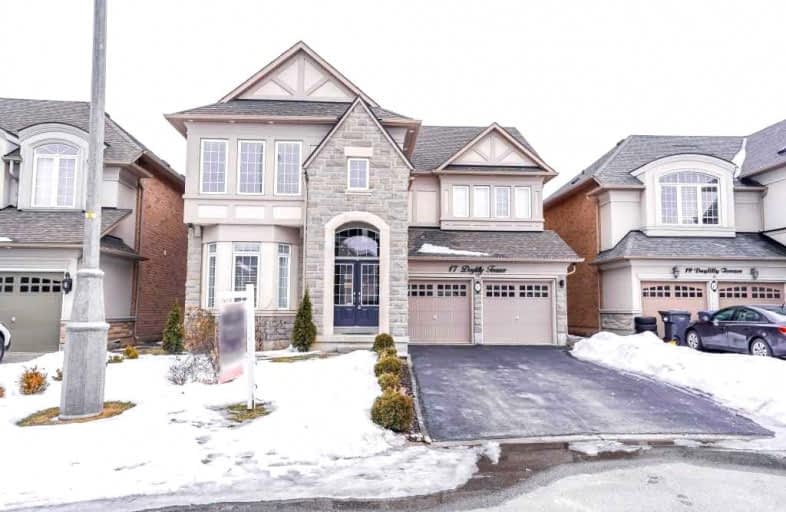 17 Daylilly Terrace, Brampton | Image 1